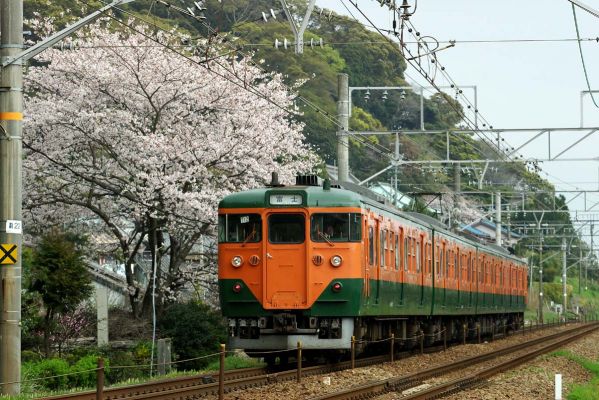クリックでフルサイズのイメージを表示する