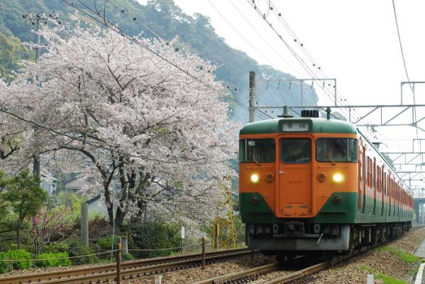 クリックでフルサイズのイメージを表示する