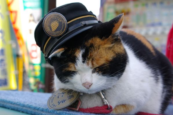 クリックでフルサイズのイメージを表示する