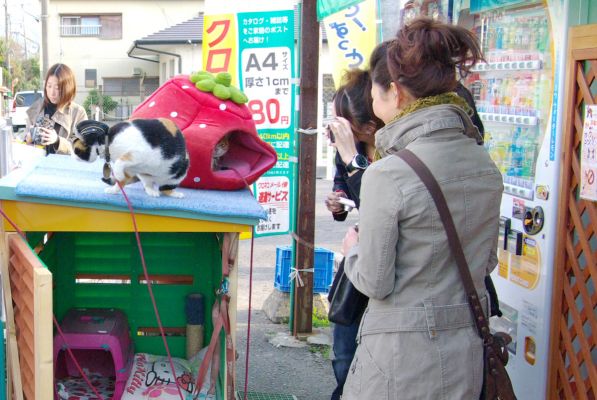 クリックでフルサイズのイメージを表示する
