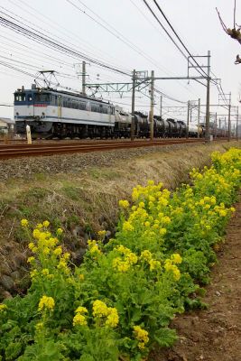 クリックでフルサイズのイメージを表示する