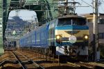20050212_SAKUHAYA_1.jpg