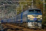20050305_fujibusa_1.jpg