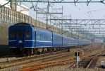 20070210_FUJIBUSA__1.jpg