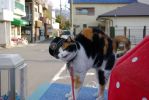 20080328_16.jpg
