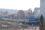 20090221_KAISO.jpg