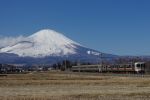 20120212_07_313.jpg