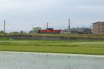 DD51_060506_3.jpg