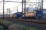 EF200-9-20070203-1.jpg