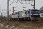 EF210-146-20100111-1.jpg
