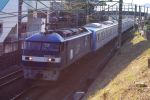 EF210-2-20091219-1.jpg