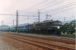 EF5861_3.jpg