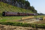 EF64-37-20041024-1.jpg