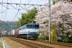 EF65-1061-060408-1.jpg