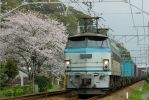 EF66-1-20050410.jpg