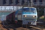 EF66-116-20100220-1.jpg