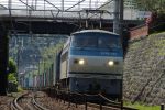 EF66-124-040425-1.jpg