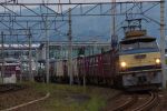 EF66-35-20100516-1.jpg