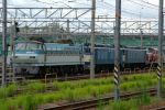 IMGP5844.jpg