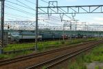 IMGP5850.jpg