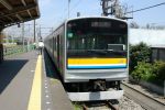 IMGP5906.jpg