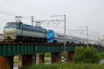 KAISO_20050625_1.jpg