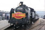 c11312.jpg