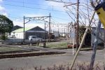 izuhakone_20070107_3.jpg