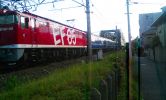 s-CA320027_hosei.jpg
