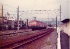 005-003.jpg