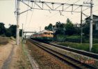 005-015~0.jpg
