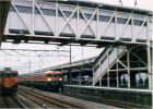 006-008.jpg
