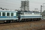 20050419_004.JPG