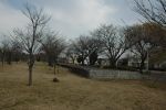 200701011041_mihosta.jpg