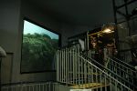 20080428_d51426.jpg