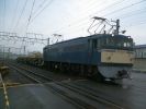 NEC_0003.JPG