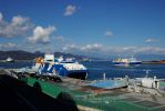20060204_0006.jpg