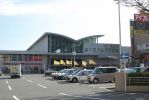 20061118_1_shimizu.jpg