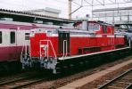 DD51506.JPG