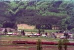 yonesaka-line.JPG